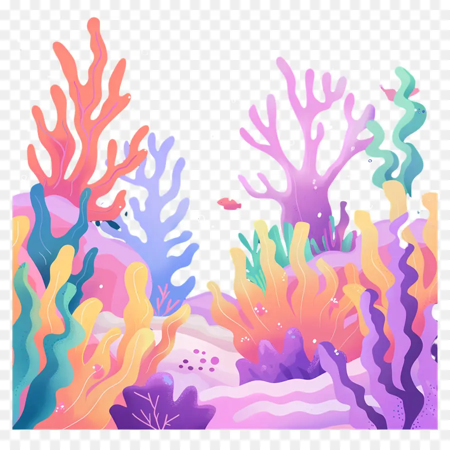коралловые рифы，Подводные съемки PNG