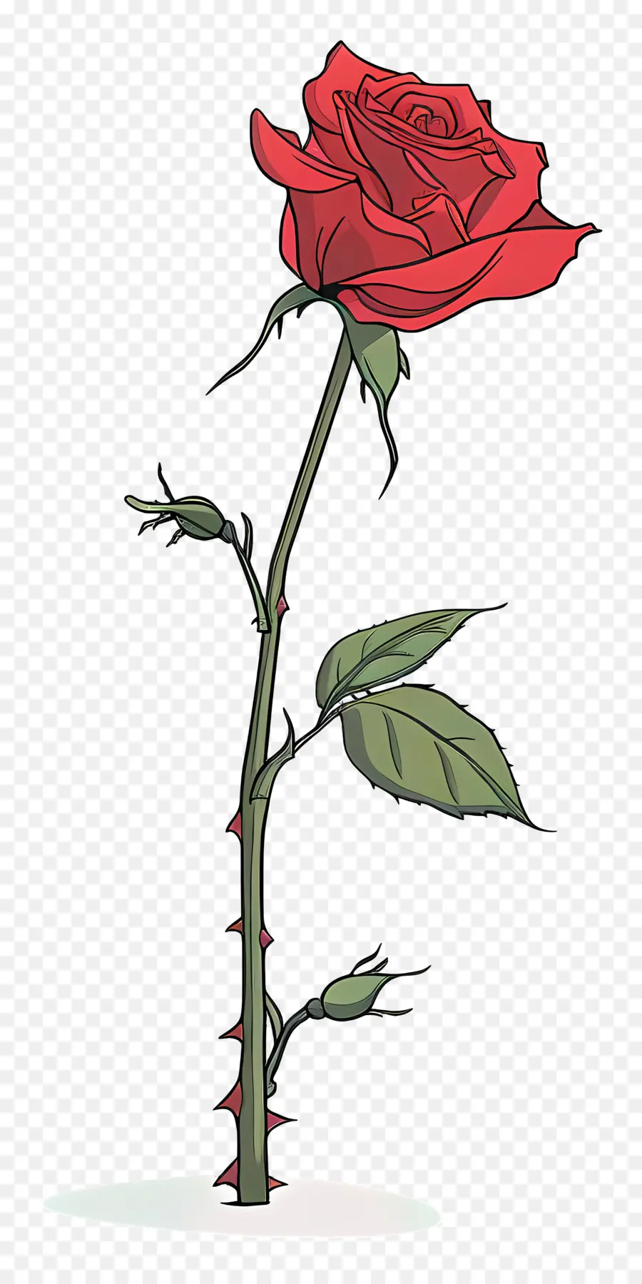 день роз，красная роза PNG