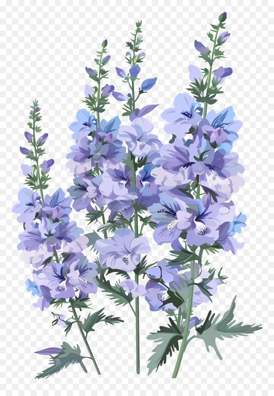 живокость，синие цветы PNG