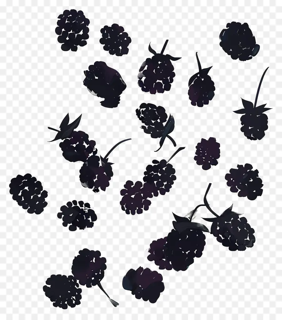 ежевика，Blackberry Bush PNG