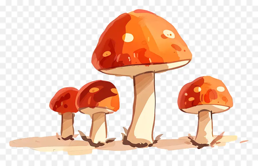 грибы，оранжевые грибы PNG