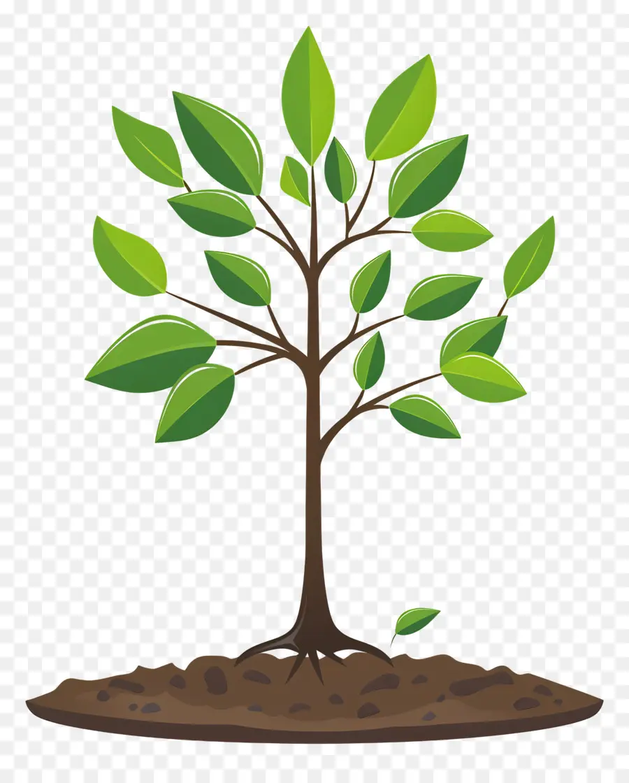 Растет дерево，Дерево PNG