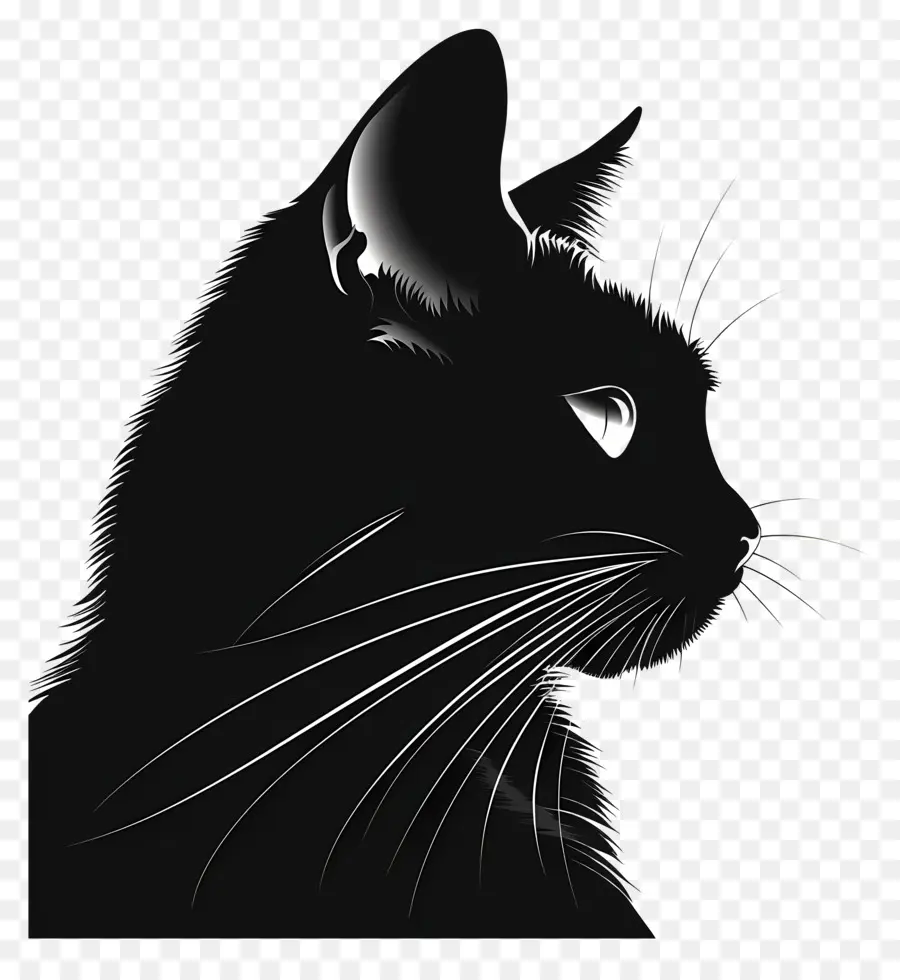 кошка силуэт，Черный кот PNG