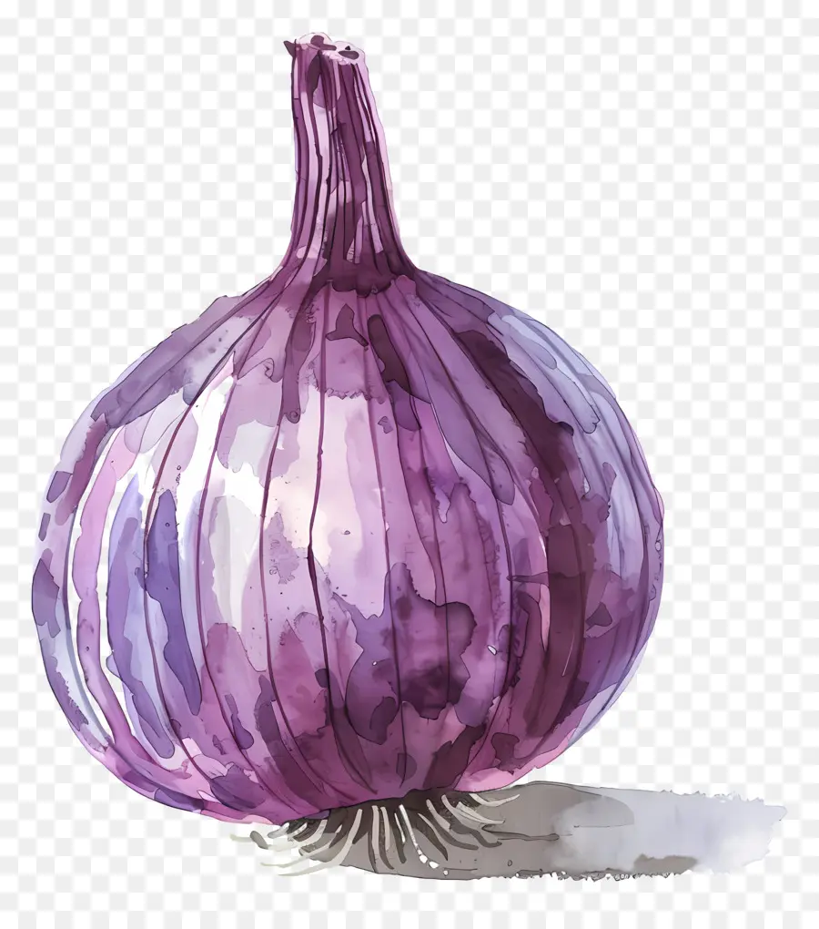 лук，фиолетовый лук PNG