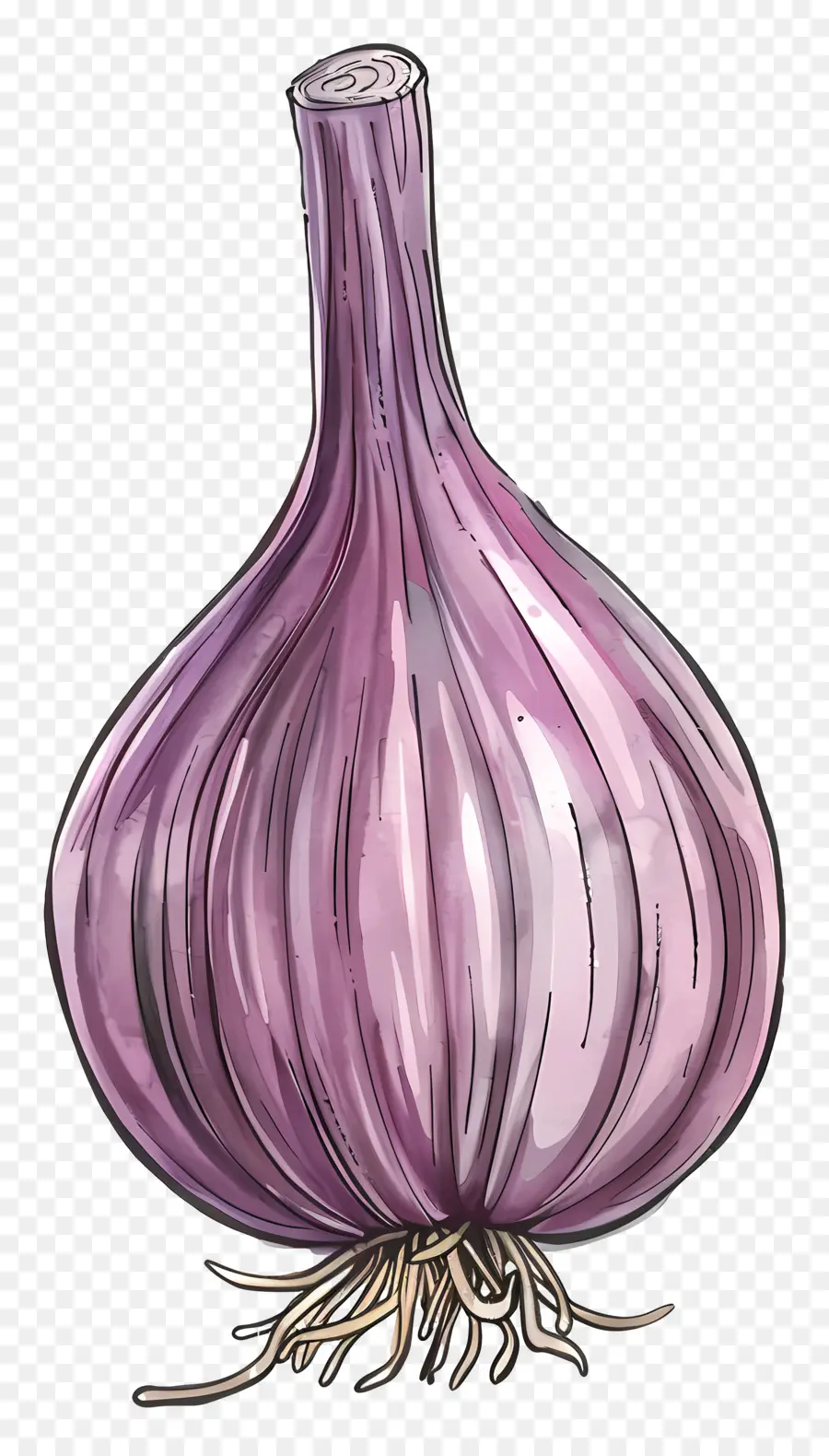 шалот，фиолетовый лук PNG