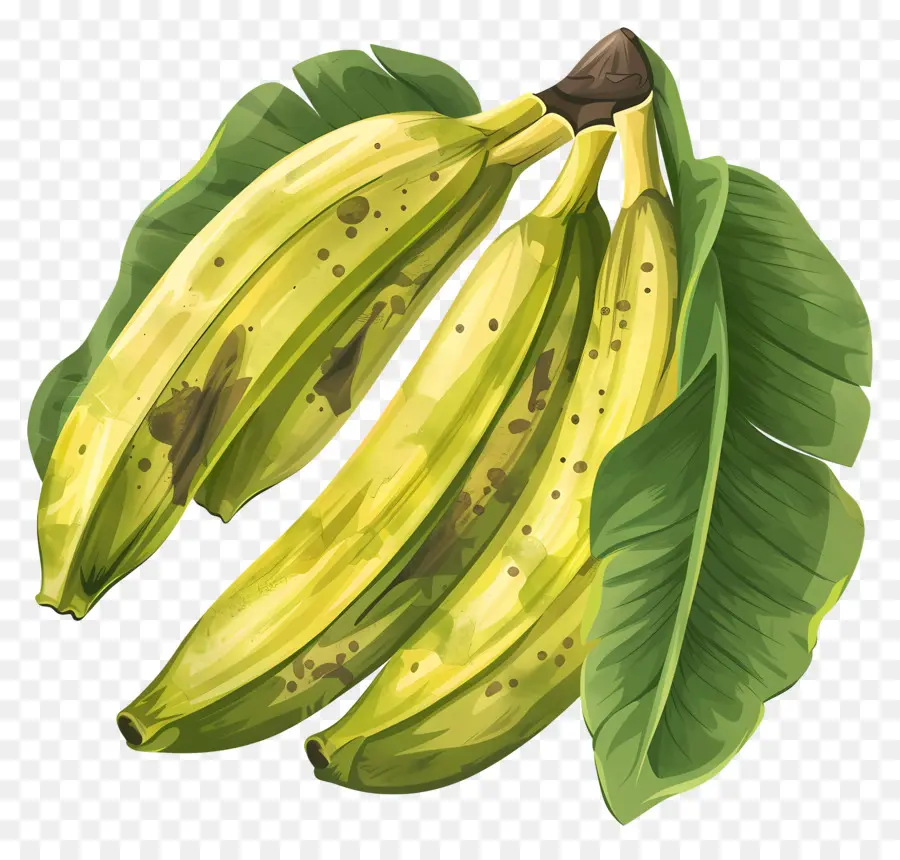 подорожник，Bananas PNG