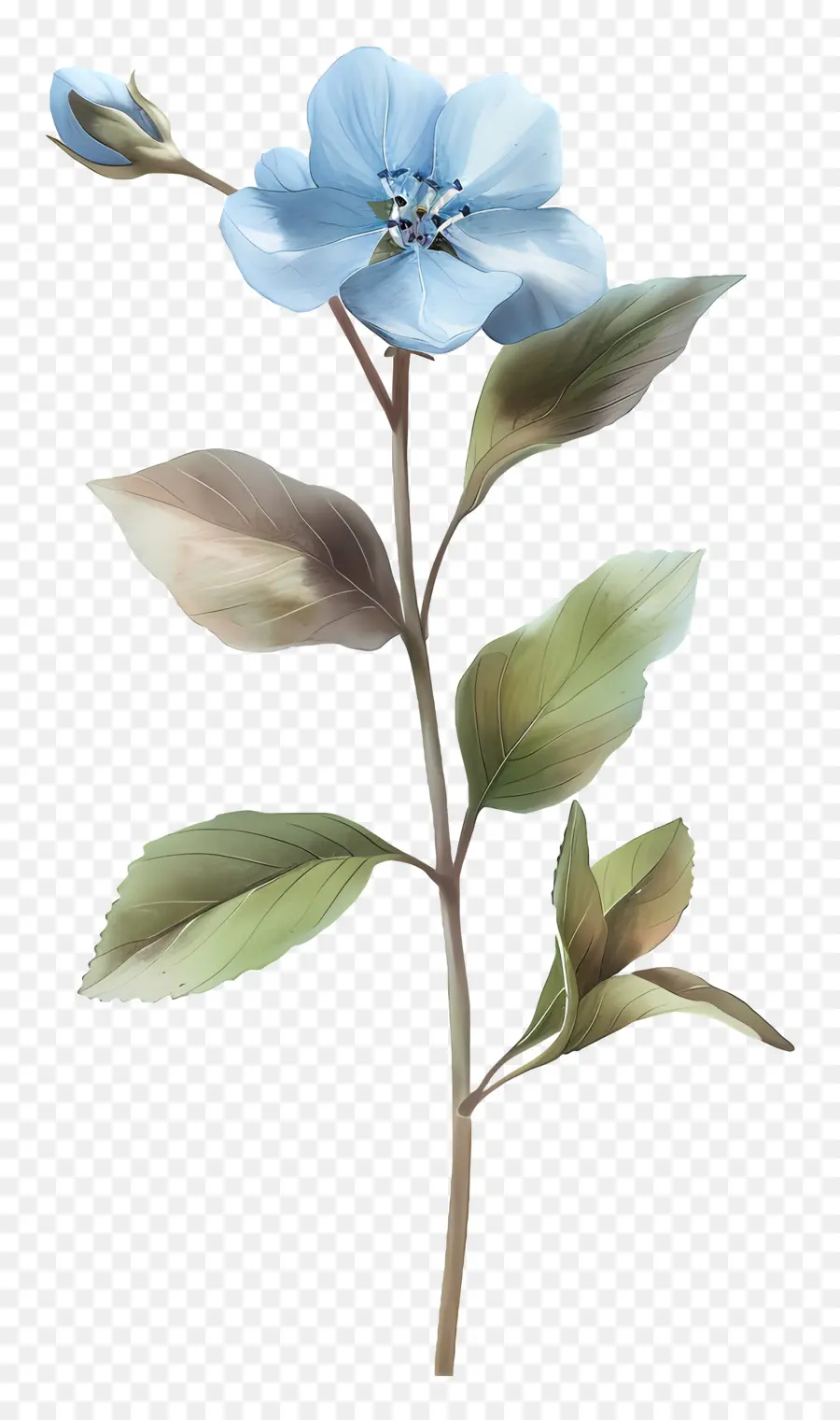 Акварельные Цветы，синие цветы PNG