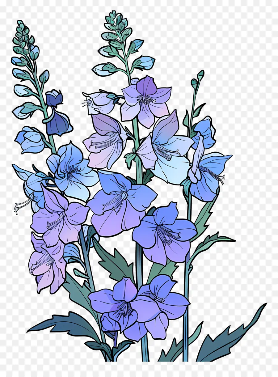 дельфиниум，синие цветы PNG