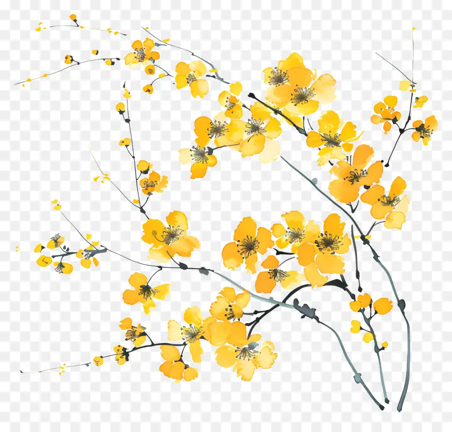 желтые цветы，букет PNG