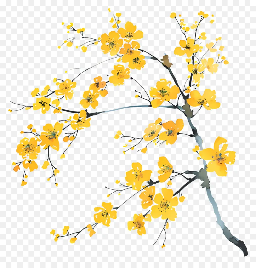 желтые цветы，Филиал PNG