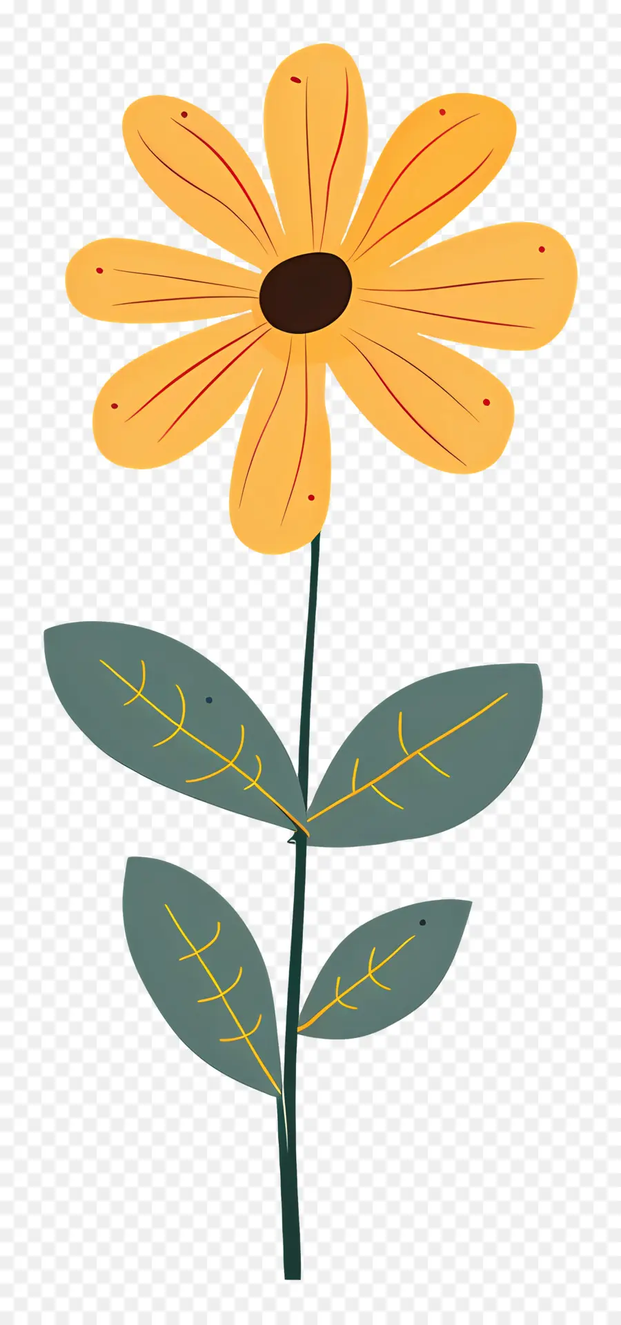 Желтая ромашка，лепестки цветка  PNG