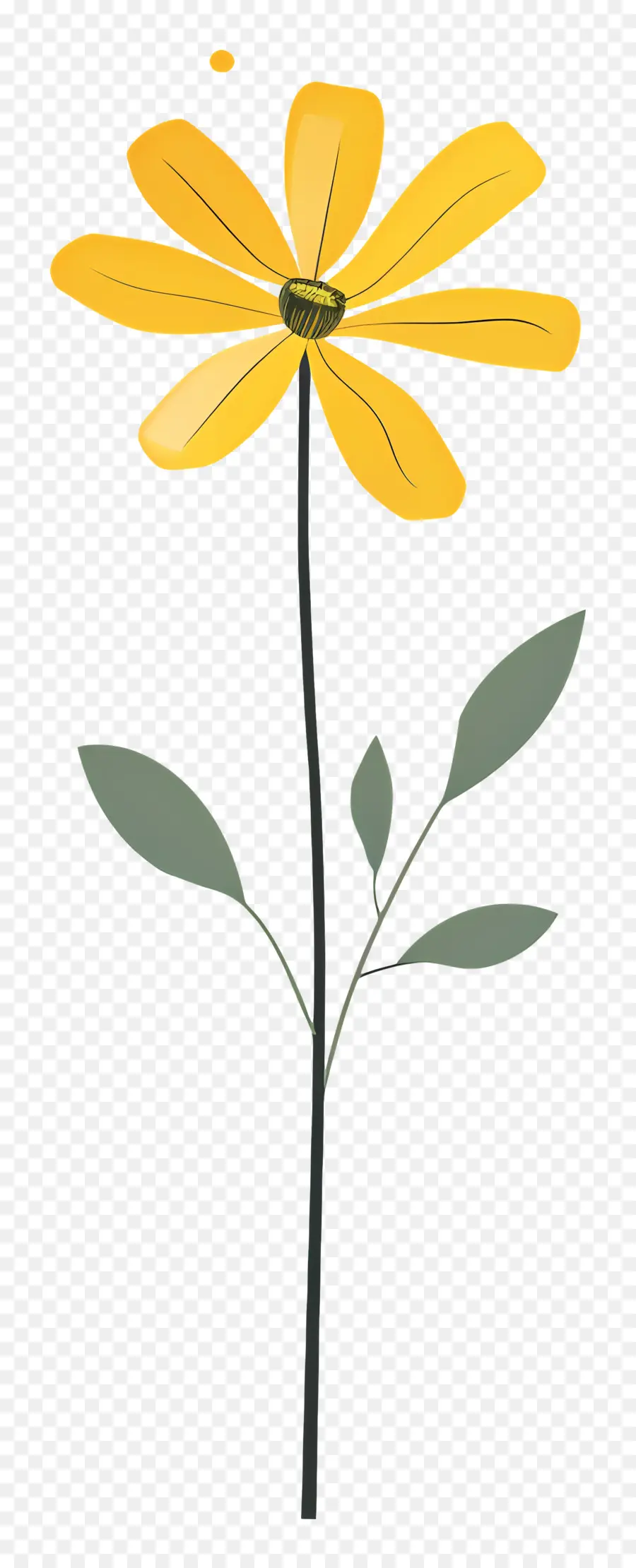 Желтая ромашка，желтый цветок PNG