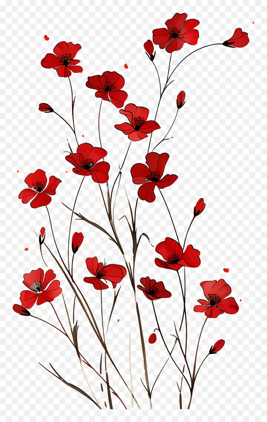 красные цветы，красные маки PNG