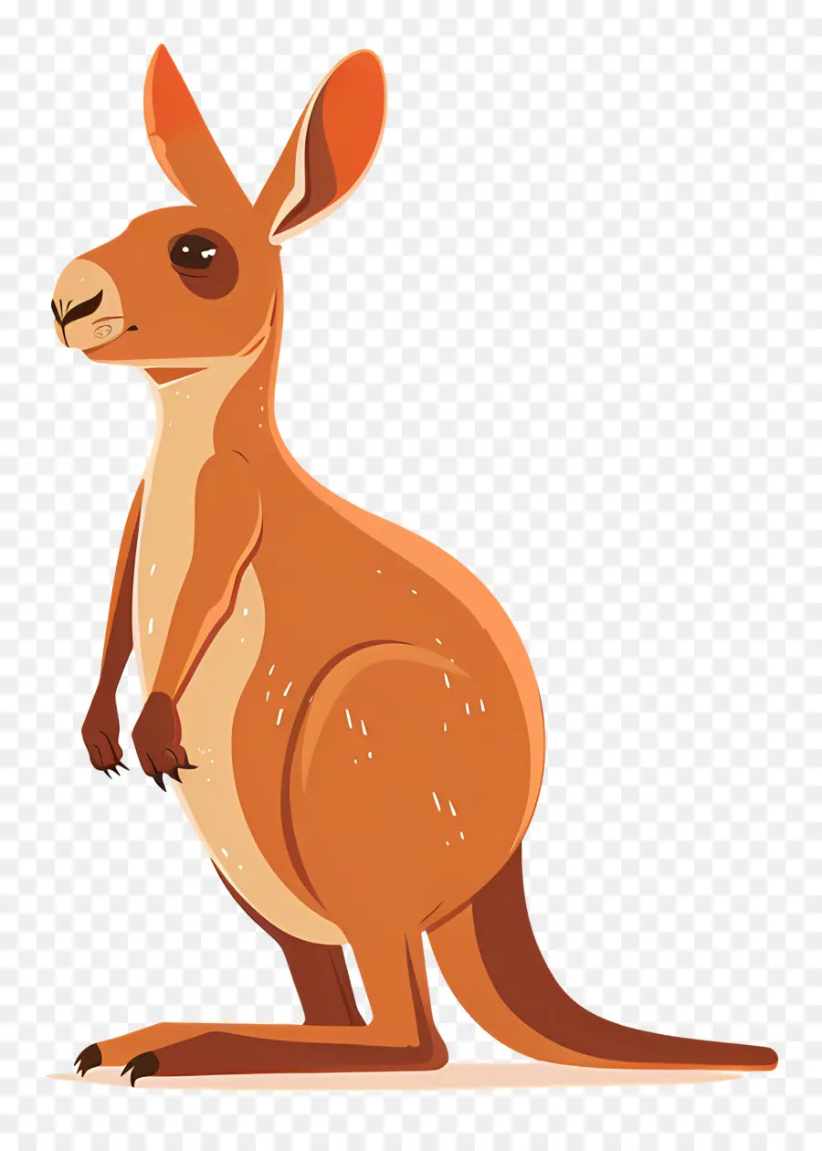 Кенгуру，красный кенгуру PNG