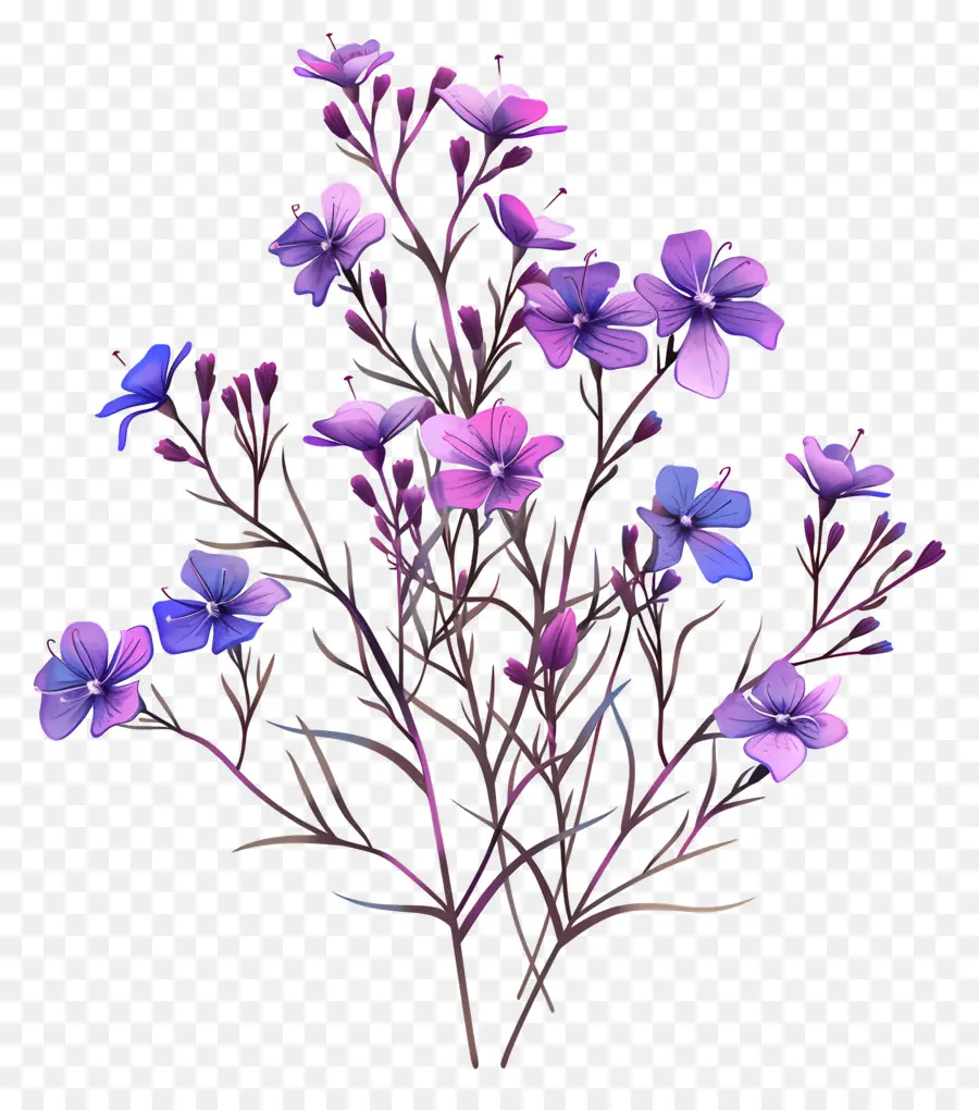 фиолетовые цветы，рисунок карандашом PNG