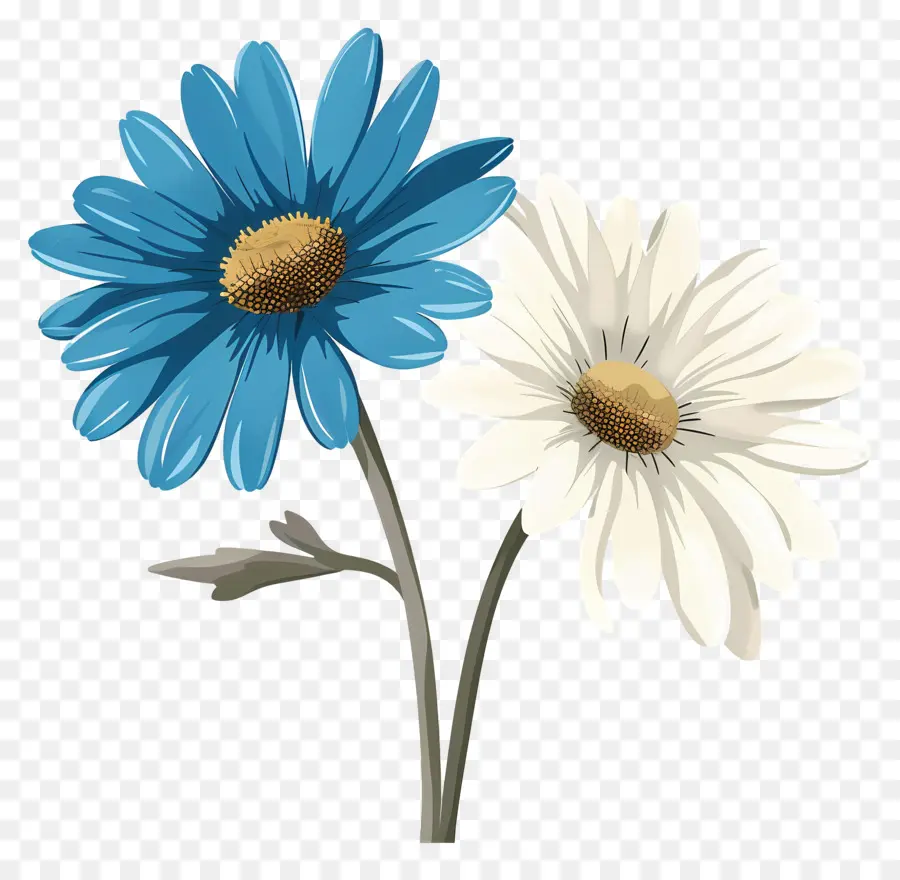 Дейзи цветок，Синие ромашки PNG