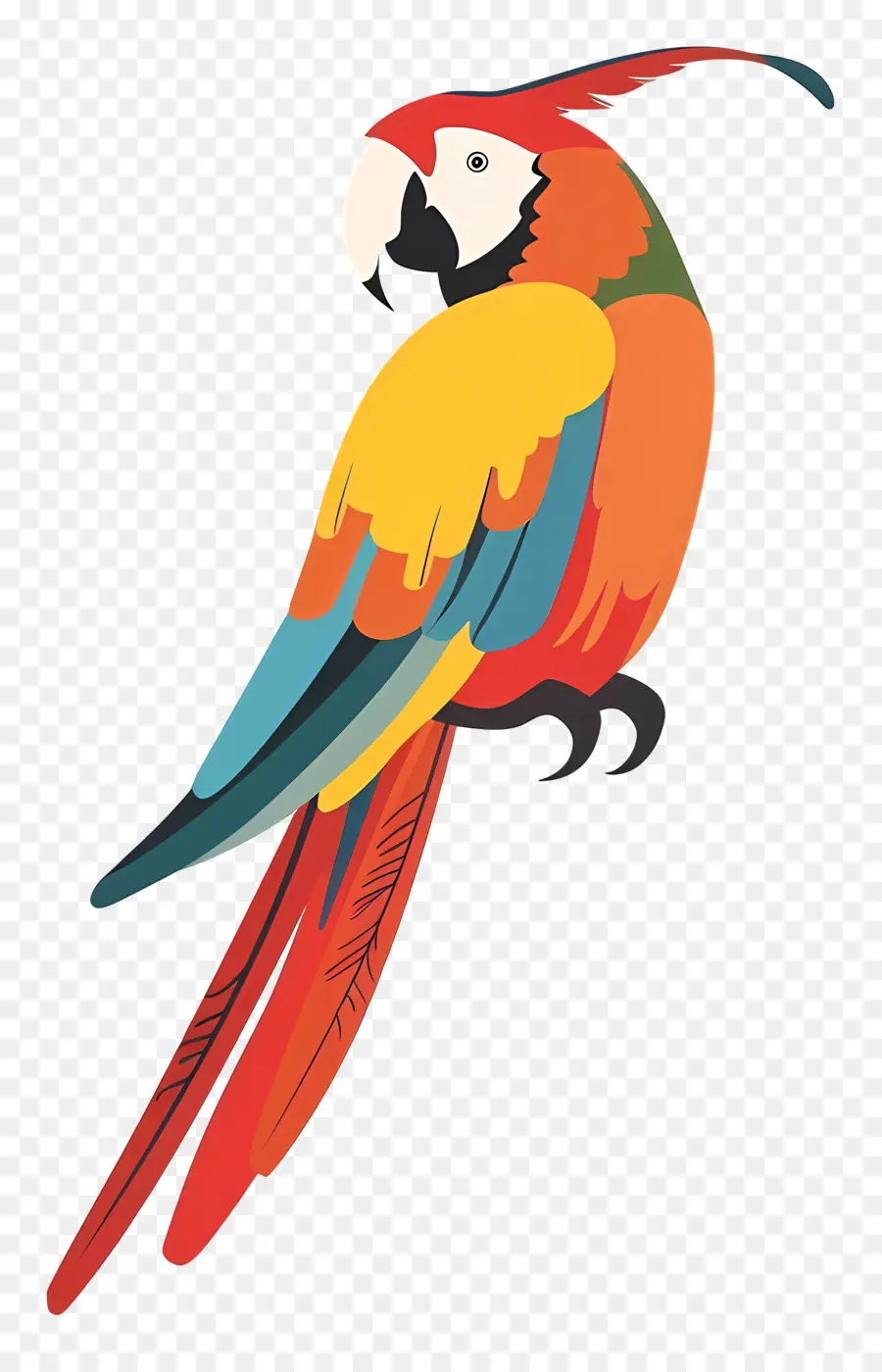 Ара，красочный попугай PNG