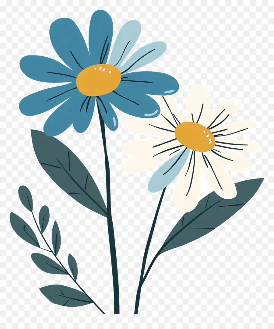 Дейзи цветок，белые и синие цветы PNG