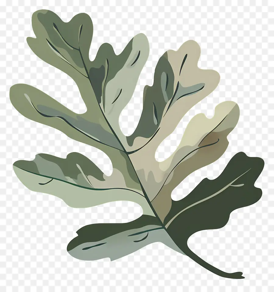 Oak Leaf，Oak Tree PNG