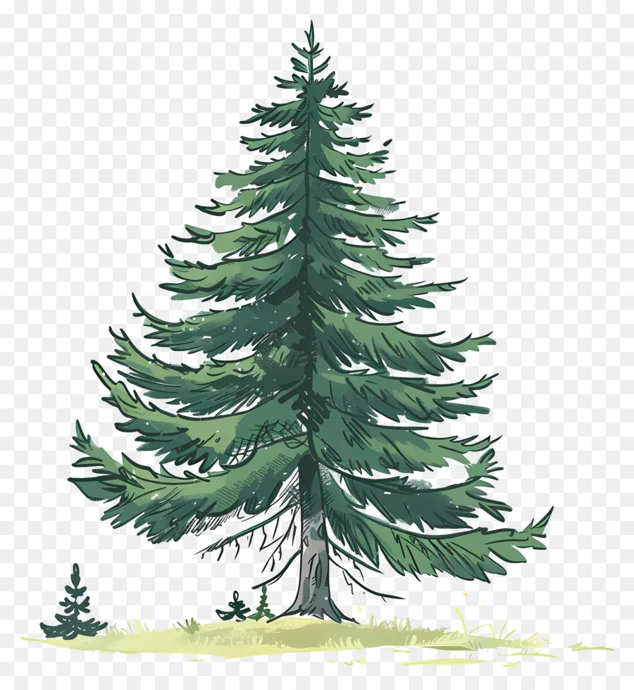 Pine Tree，зеленый PNG