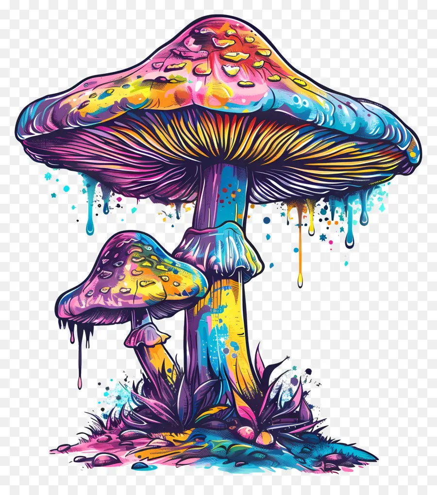 волшебный гриб，Радужные грибы PNG