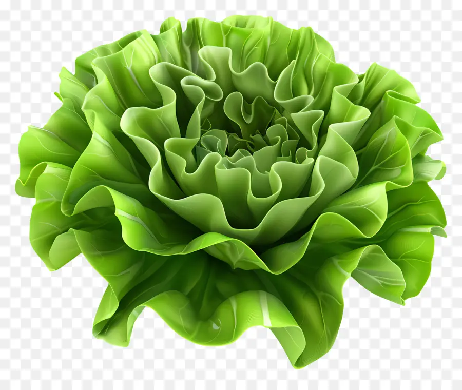 Lettuce，зелень PNG