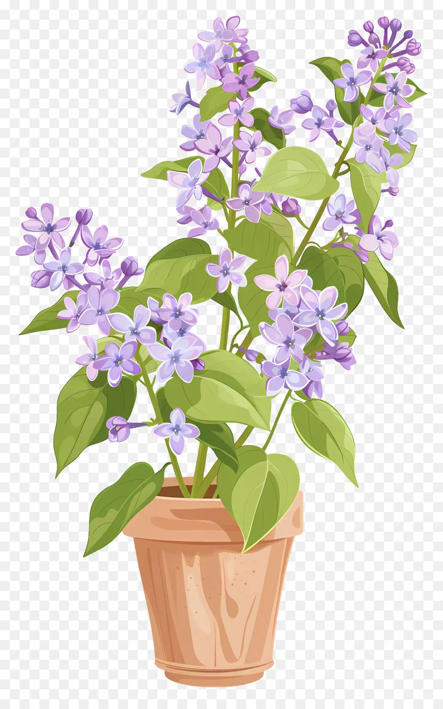 сиреневые цветы，Небольшое горшечное растение PNG