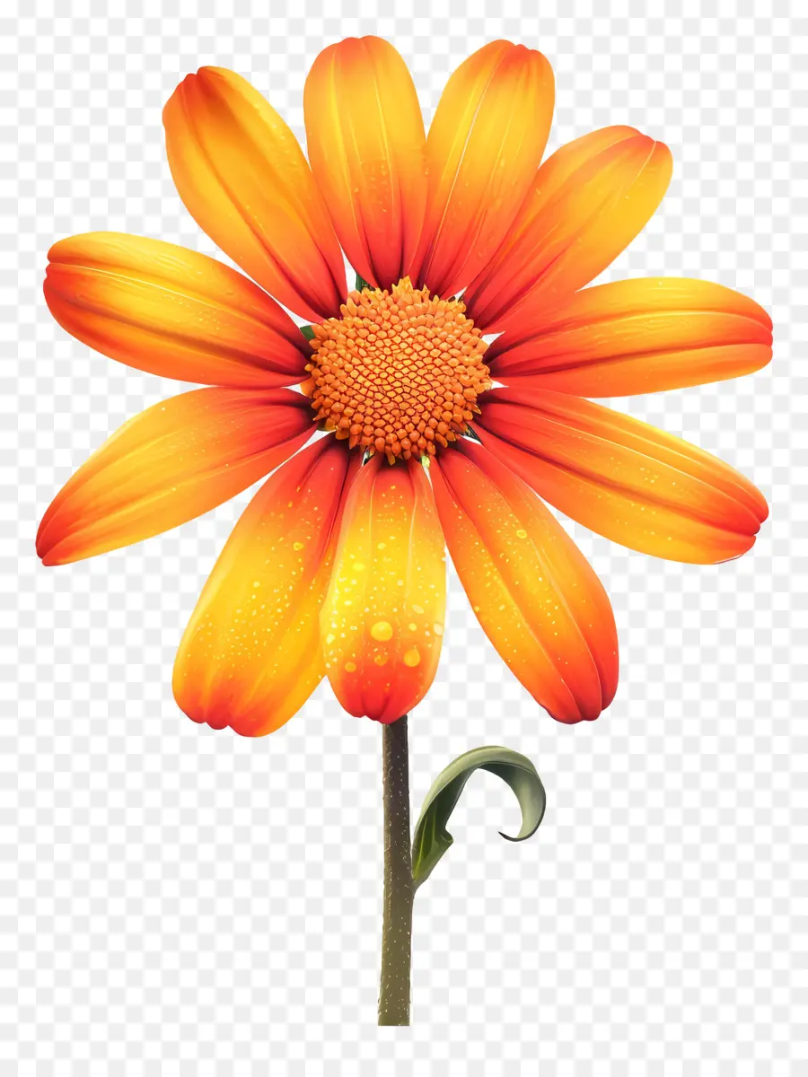 цветок，Смайлики PNG