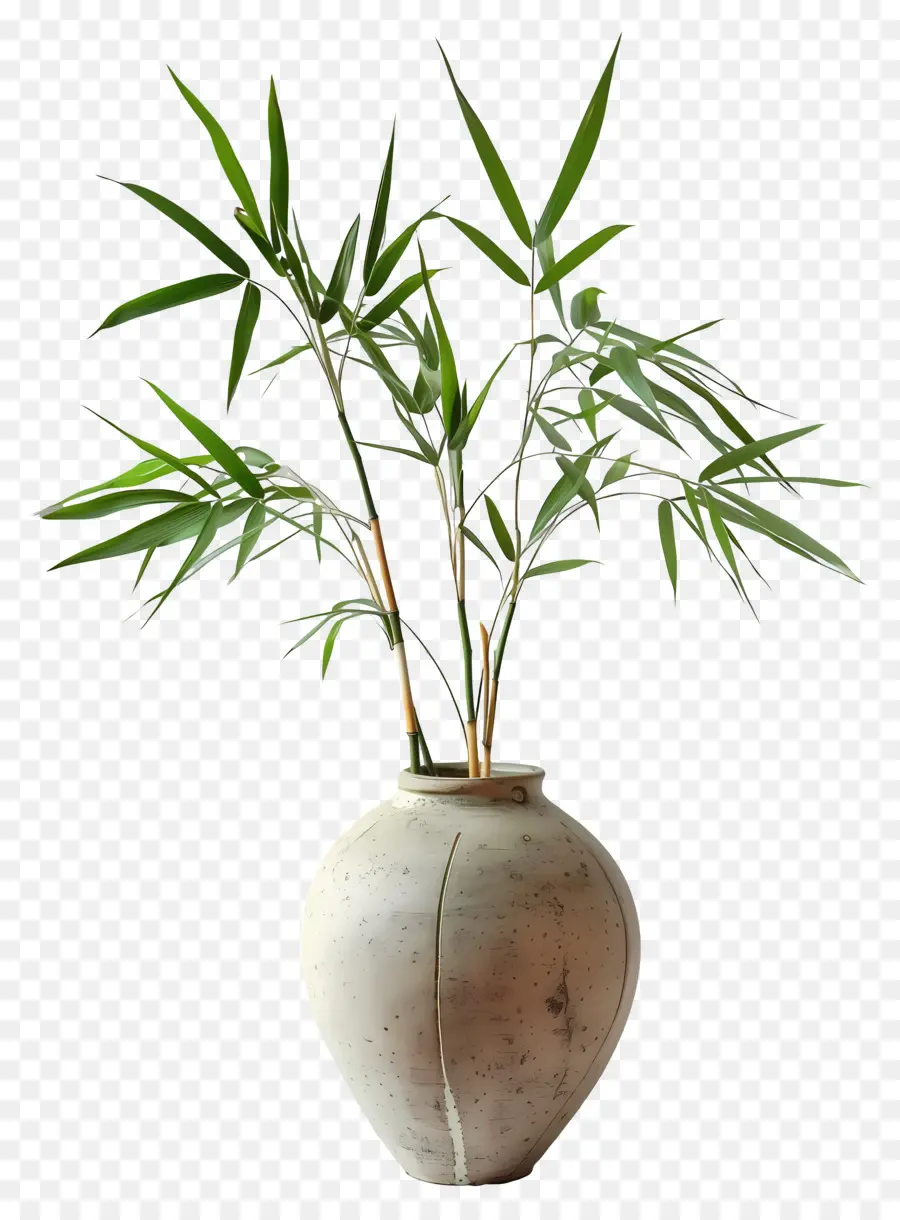 бамбук в вазе，бамбук растение PNG