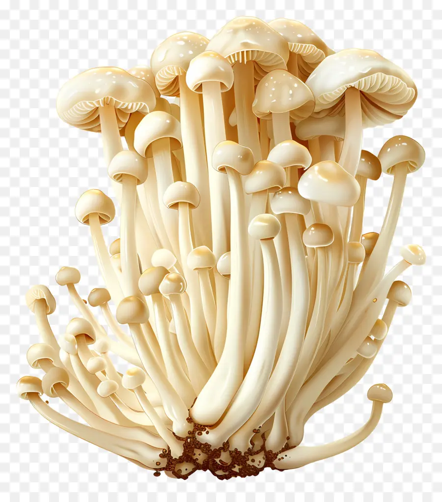 эноки гриб，белые грибы PNG