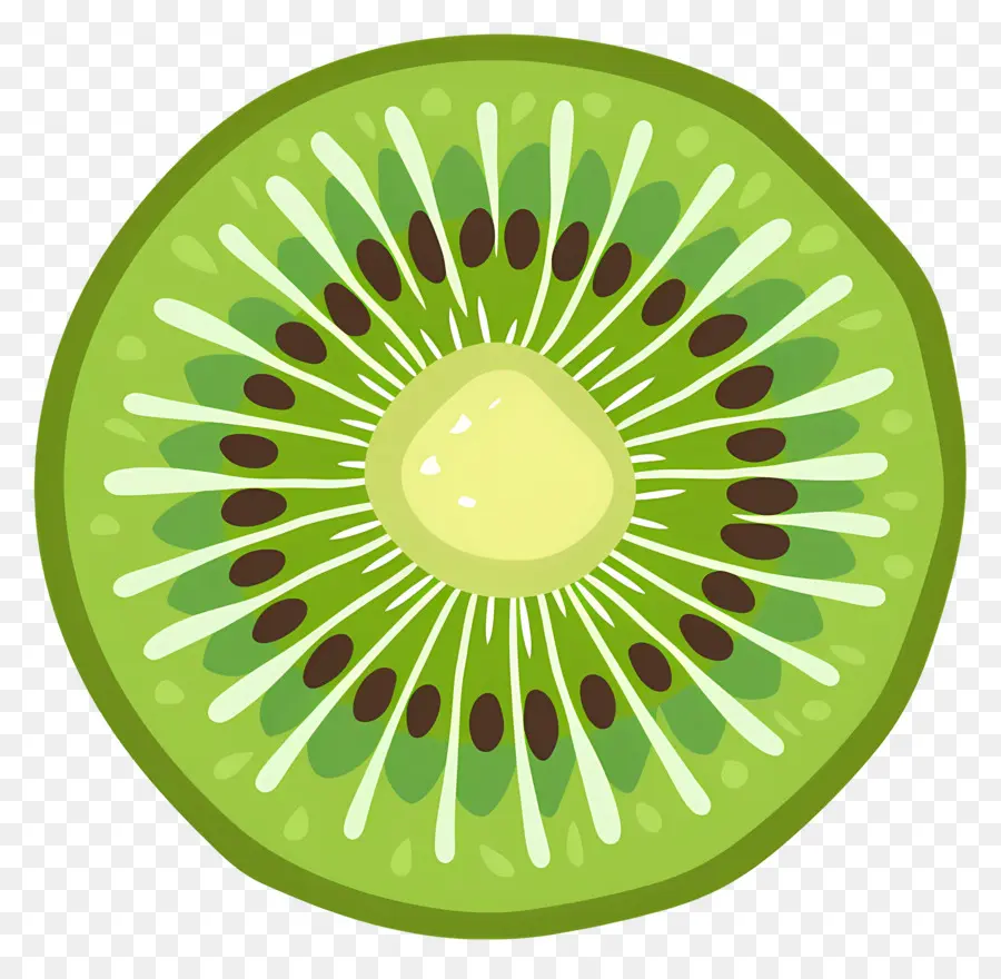 Kiwi Fruit，актинидия деликатесная PNG