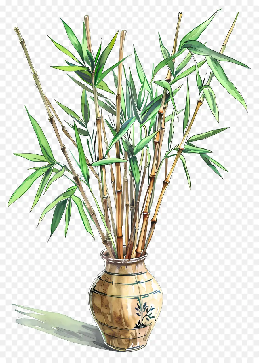 бамбук в вазе，Bamboo PNG