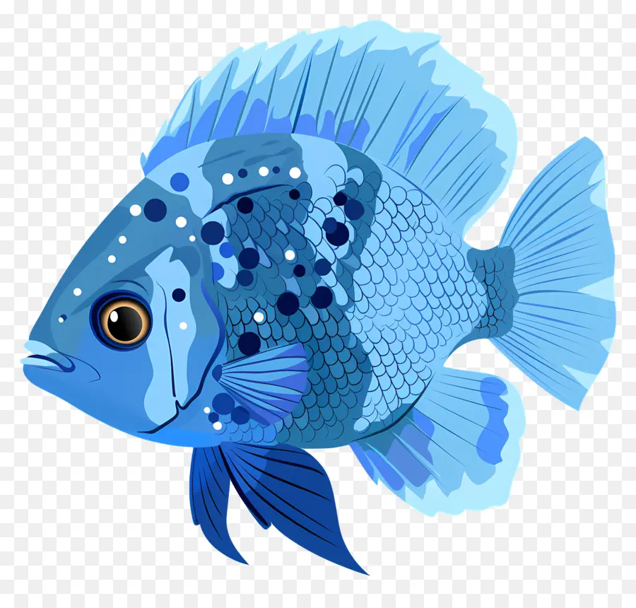 Рыбы，синяя рыба PNG