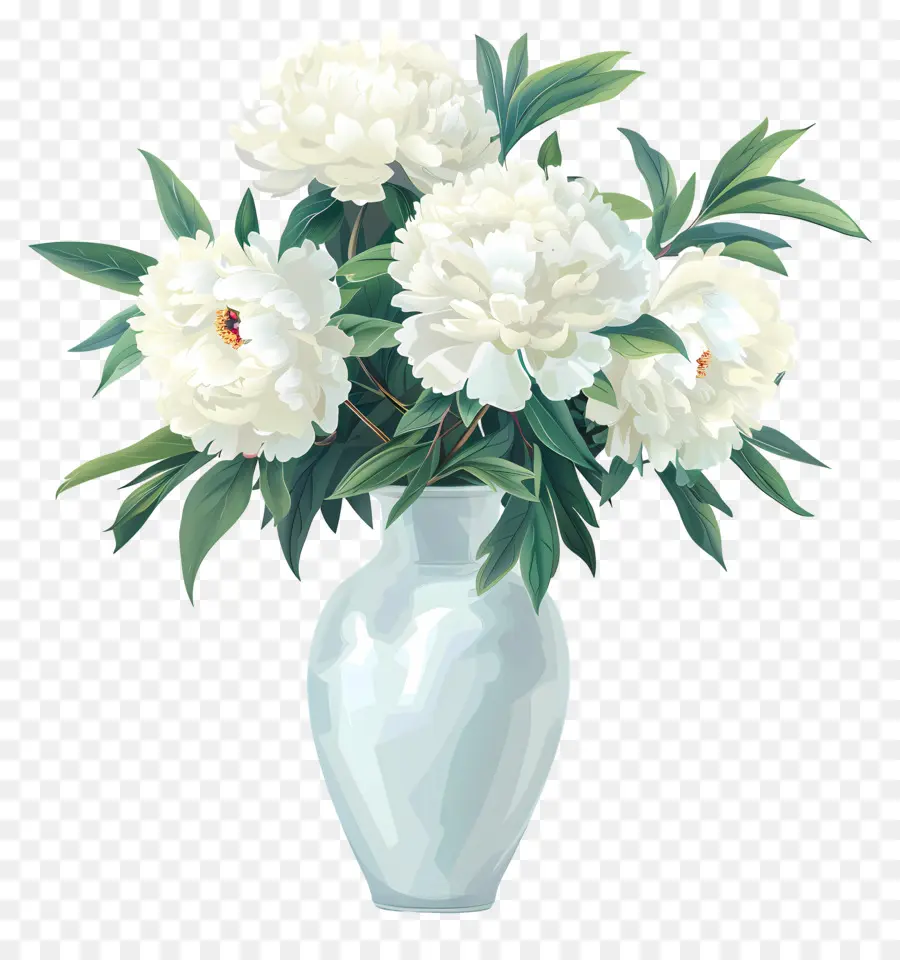 белые пионы，свежие цветы PNG