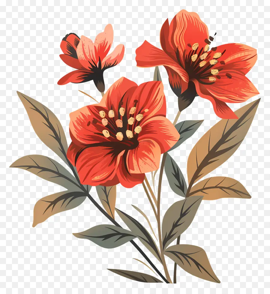 старинные цветок，апельсиновые и красные цветы PNG