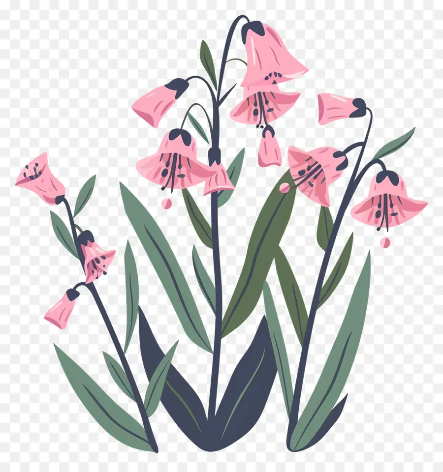 Bluebells，Розовые цветы PNG