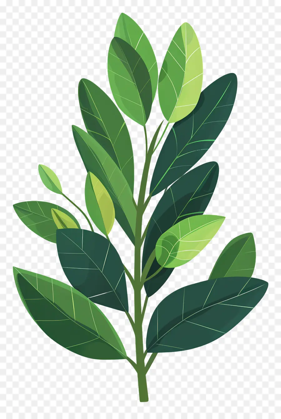 Лорел Лист，зеленое растение PNG