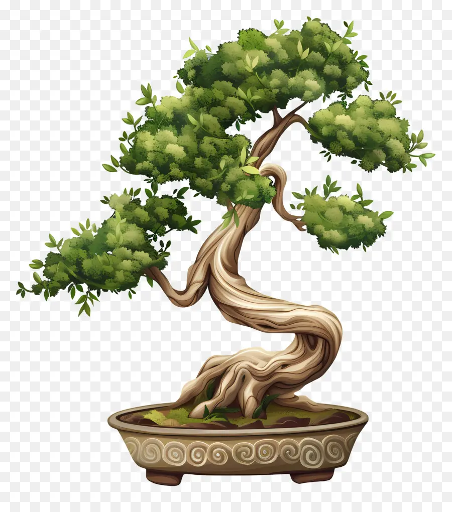 бонсай дерево，контейнерное озеленение PNG