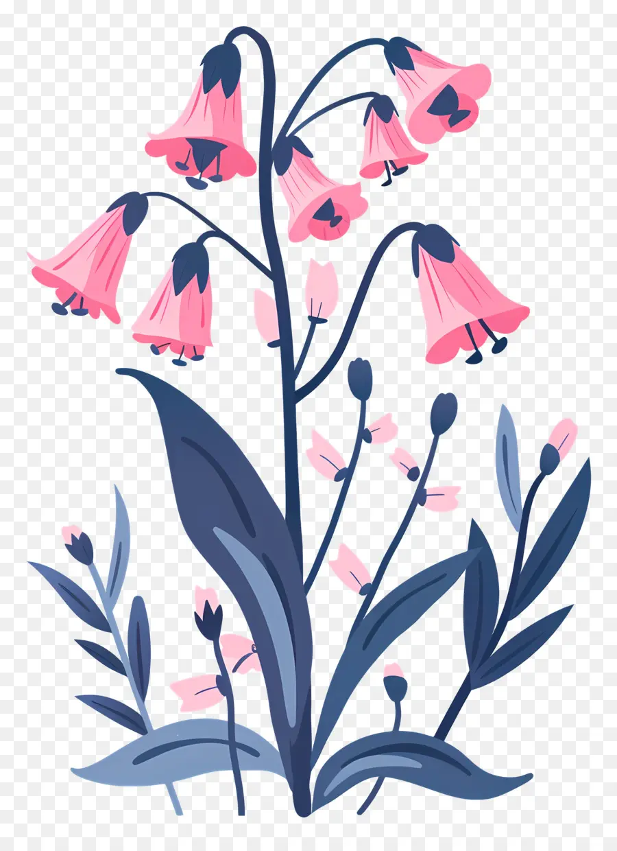 Bluebells，Розовые цветы PNG