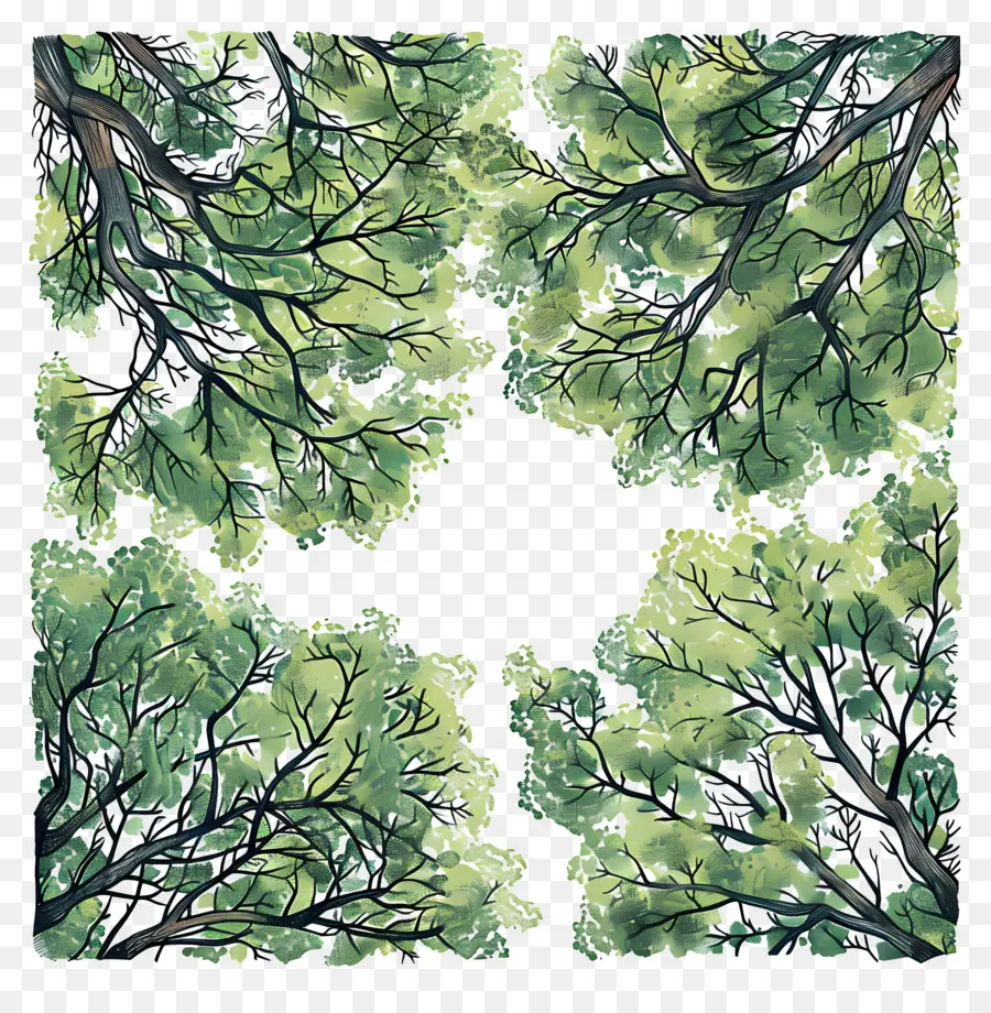 Лесной навес，картина дерево  PNG