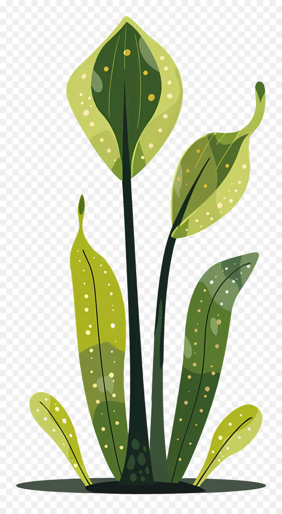 Насекомоядное растение ，зеленое растение PNG