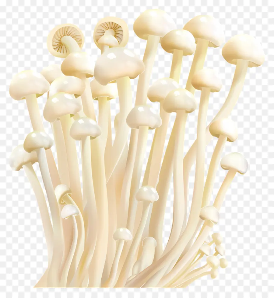 эноки гриб，грибы PNG