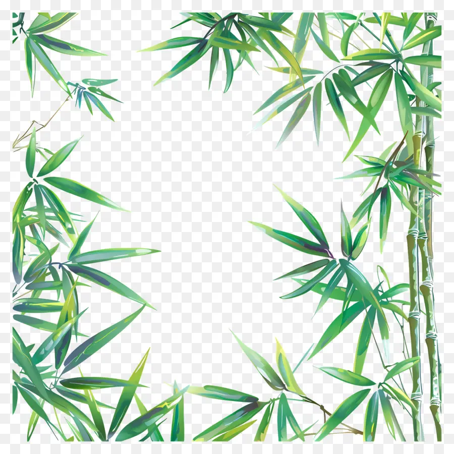 бамбуковая граница листьев，Bamboo PNG