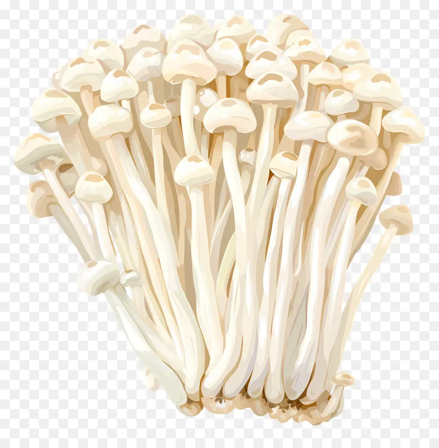 эноки гриб，грибы PNG
