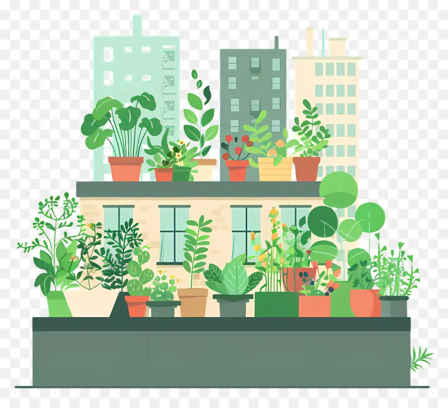 Городской Сад，балкон растения PNG