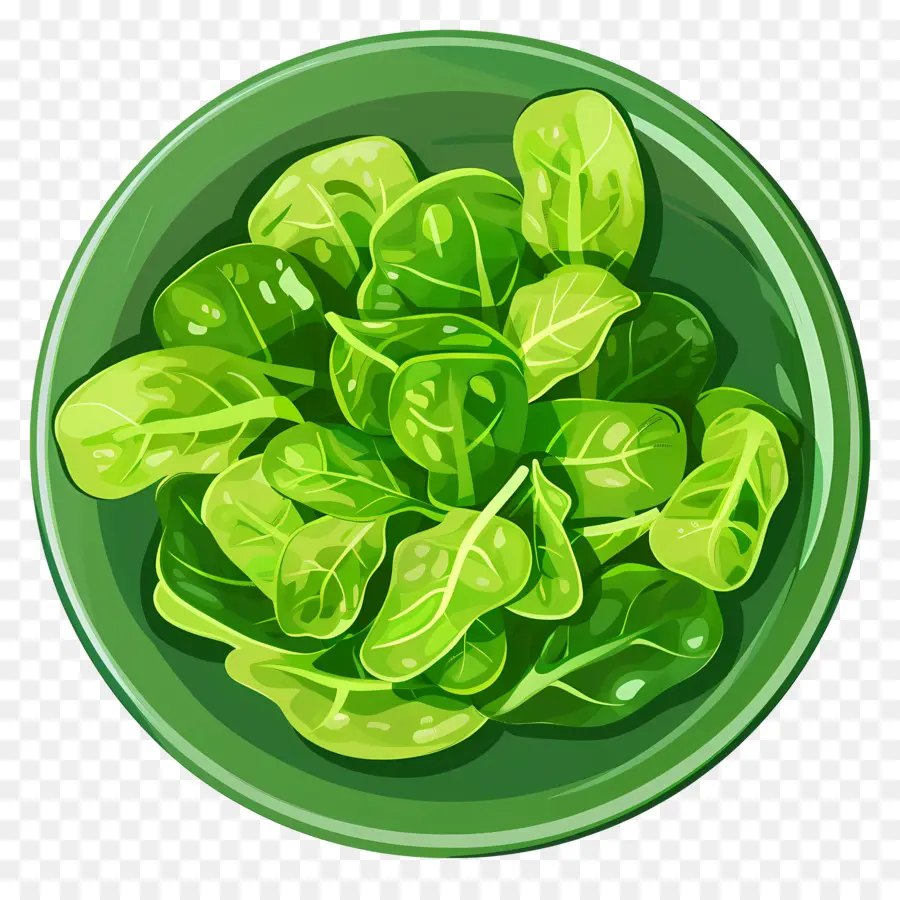 Зеленый салат，Lettuce PNG
