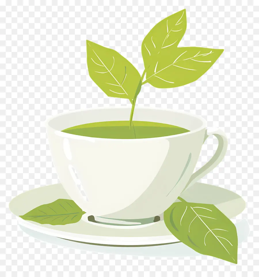 Green Tea，чай PNG