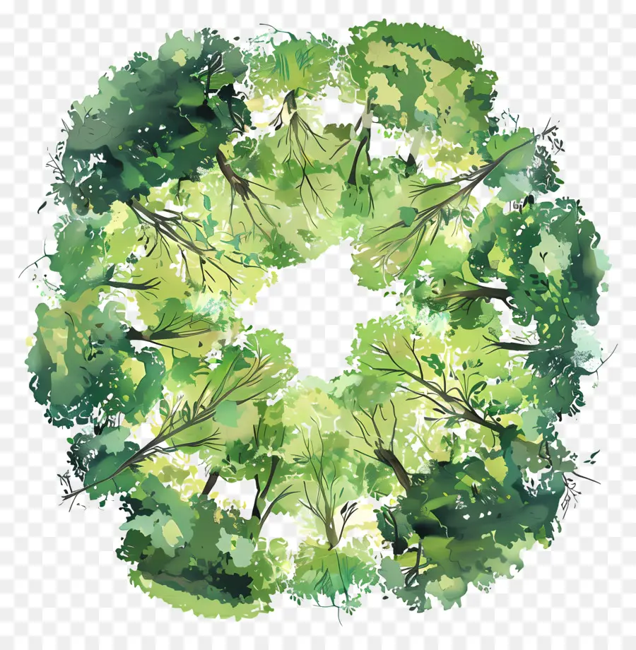 Лесной навес，зеленый круг PNG