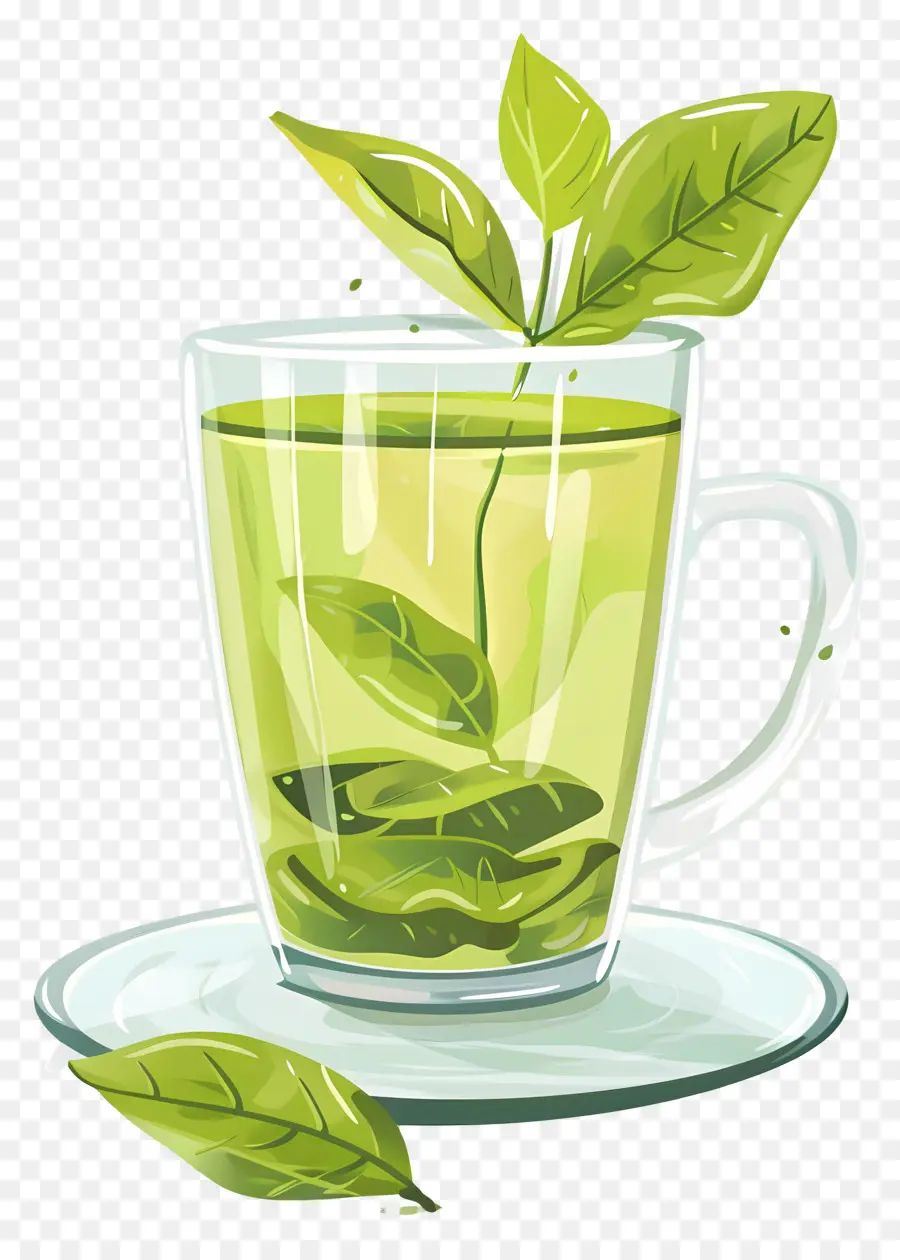 Green Tea，чайные листья PNG