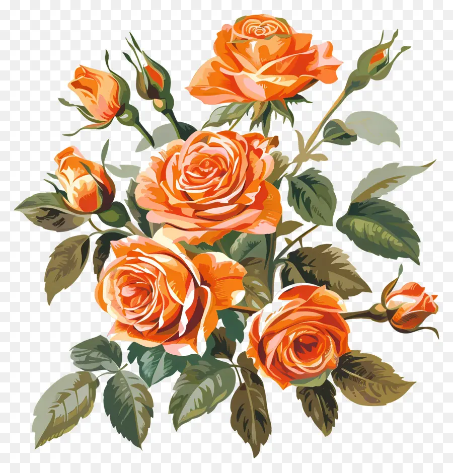 букет роз ，оранжевые розы PNG